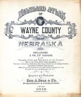 Wayne County 1918 